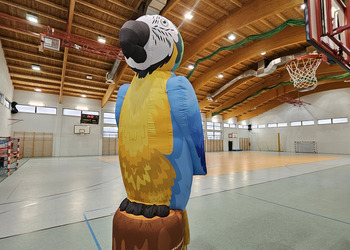 Personalizowany nośnik pneumatyczny w kształcie papugi, która siedzi na pniu